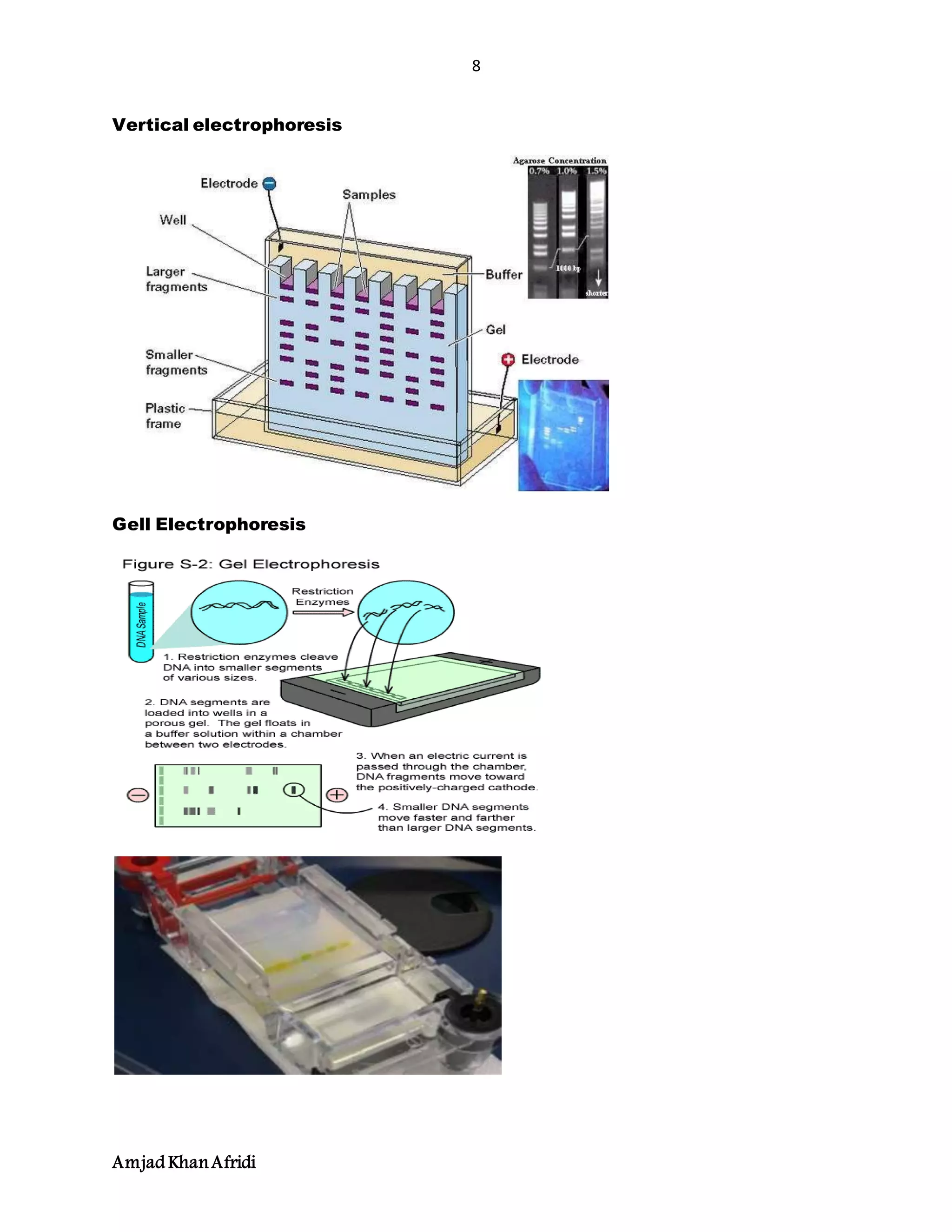 8
Amjad KhanAfridi
Vertical electrophoresis
Gell Electrophoresis
 