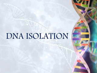 DNA ISOLATION
 