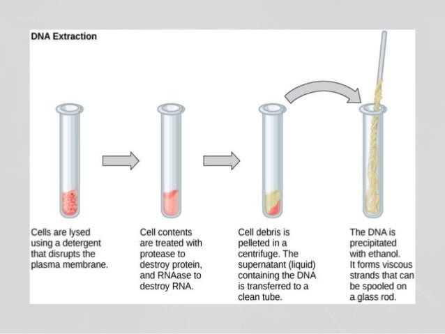 Dna isolation