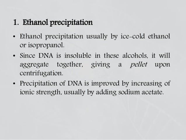 dna isolation