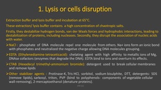 1. Lysis or cells disruption
Extraction buffer and lysis buffer and incubation at 65°C.
These extraction/ lysis buffer contains a high concentration of chaotropic salts.
Firstly, they destabilize hydrogen bonds, van der Waals forces and hydrophobic interactions, leading to
destabilization of proteins, including nucleases. Secondly, they disrupt the association of nucleic acids
with water.
NaCl : phosphate of DNA molecule repel one molecule from others. Na+ ions form an ionic bond
with phosphates and neutralized the negative charge allowing DNA molecules grouping.
EDTA (Ethylenediamine tetraceticacid): chelating agent with high affinity to metallic ions of Mg,
DNAse cofactors (enzymes that degrade the DNA). EDTA bind to ions and overturn its effects.
CTAB (Hexadecyl trimethyl-ammonium bromide): detergent used to break cellular membranes
and remove lipids
Other stabilizer agents : Protinase-K, Tris HCl, sorbitol, sodium bisulphite, DTT, detergents: SDS
(remove lipids), sarkosyl, triton, PVP (bind to polyphenols- components of vegetable cellular
wall-removing), 2-mercaptoethanol (denature proteins).
VPB 321
 