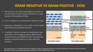 GRAM NEGATIVE VS GRAM POSITIVE - LYSIS
 The presence of a high peptidoglycan content in
the cell walls of Gram positive bacteria is a major
hurdle in the isolation of DNA.
 So it’s resistance to conventional methods of lysis .
 Lysozyme + detergents such as SDS ensures better
lysis of the Gram positive cell wall .
 Penicillins* which is known for interfering in the
assembly of N-Acetylglucosamine (NAG) and N-
Acetylmuramic acid (NAM) moieties during Gram
positive cell wall synthesis can also solve the
purpose.
*De, Sachinandan et al. “A Simple Method for the Efficient Isolation of Genomic DNA from Lactobacilli Isolated from Traditional Indian Fermented
Milk (Dahi).” Indian Journal of Microbiology 50.4 (2010): 412–418. PubMed Central. Web.
VPB 321
 