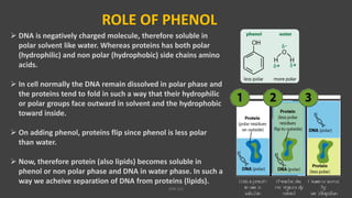 ROLE OF PHENOL
 DNA is negatively charged molecule, therefore soluble in
polar solvent like water. Whereas proteins has both polar
(hydrophilic) and non polar (hydrophobic) side chains amino
acids.
 In cell normally the DNA remain dissolved in polar phase and
the proteins tend to fold in such a way that their hydrophilic
or polar groups face outward in solvent and the hydrophobic
toward inside.
 On adding phenol, proteins flip since phenol is less polar
than water.
 Now, therefore protein (also lipids) becomes soluble in
phenol or non polar phase and DNA in water phase. In such a
way we acheive separation of DNA from proteins (lipids).
VPB 321
 
