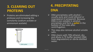 3. CLEARING OUT
PROTEINS
 Proteins are eliminated adding a
protease and increasing the
osmolarity (sodium acetate or
ammonium acetate)
 DNA precipitates with alcohol –
usually pure and could ethanol or
isopropanol (2-propanol). Because
DNA is non-soluble in alcohol,
precipitate and form a pellet in the
bottom of the tube after
centrifugation.
 This step also remove alcohol soluble
salts.
 DNA cleans with 70% ethanol, dry
and dilute in TE buffer (protect DNA
from degradation) or sterile distilled
water.
4. PRECIPITATING
DNA
VPB 321
 