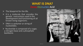 WHAT IS DNA?
Deoxyribonucleic Acid
 The blueprint for the life.
 It is a molecule that encodes the
genetic instructions used in the
development and functioning of all
known living organisms .
 DNA is a polymer or string of
nucleotides.
 Nucleotide is composed of a sugar,
a nitrogen base and a phosphate
backbone.
VPB 321
 