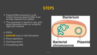 STEPS
 Plasmid DNA extraction is a bit
trickier because plasmid DNA must
be kept separate from gDNA.
 This separation is based on size, and
good separation relies on using the
right lysis method.
 STEPS:
1. ALKALINE Lysis or cells disruption
2. Phase seperation
3. Clearing proteins
4. Precipitating DNA
VPB 321
 