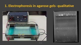 1. Electrophoresis in agarose gels- qualitative
VPB 321
 