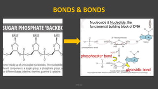 BONDS & BONDS
VPB 321
 