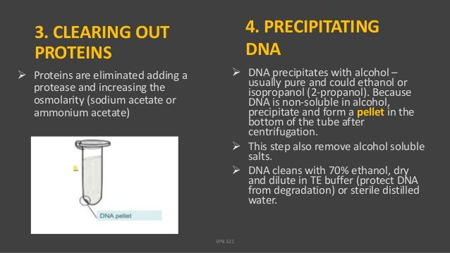 Dna isolation Principle