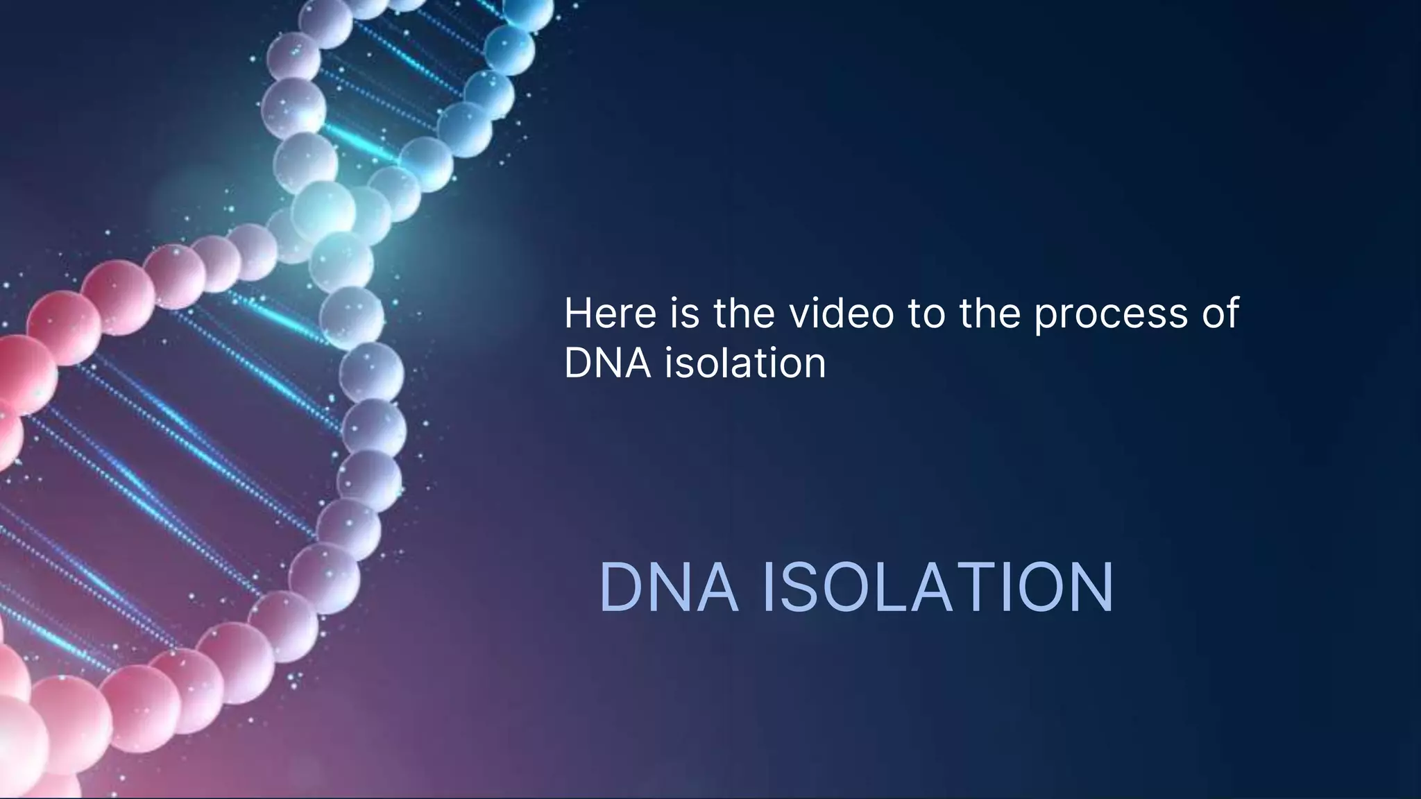 DNA ISOLATION
Here is the video to the process of
DNA isolation