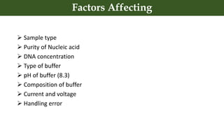 Factors Affecting
 Sample type
 Purity of Nucleic acid
 DNA concentration
 Type of buffer
 pH of buffer (8.3)
 Composition of buffer
 Current and voltage
 Handling error
 