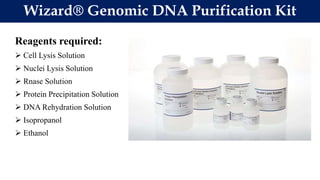 Reagents required:
 Cell Lysis Solution
 Nuclei Lysis Solution
 Rnase Solution
 Protein Precipitation Solution
 DNA Rehydration Solution
 Isopropanol
 Ethanol
Wizard® Genomic DNA Purification Kit
 