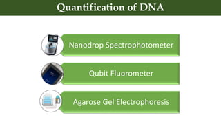 Nanodrop Spectrophotometer
Qubit Fluorometer
Agarose Gel Electrophoresis
Quantification of DNA
 