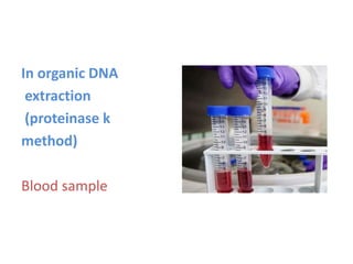 In organic DNA
extraction
(proteinase k
method)
Blood sample
 