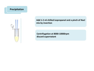 Precipitation
Add 1-2 ml chilled isopropanol and a pinch of Nacl
mix by invertion
Centrifugation at 8000-10000rpm
discard supernatant
 