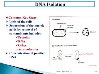 Dna isolation from various sources | PDF