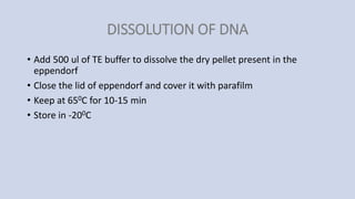DISSOLUTION OF DNA
• Add 500 ul of TE buffer to dissolve the dry pellet present in the
eppendorf
• Close the lid of eppendorf and cover it with parafilm
• Keep at 650C for 10-15 min
• Store in -200C
 