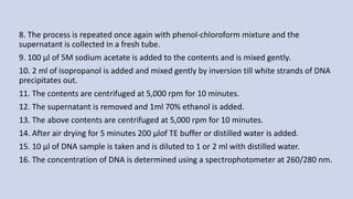 8. The process is repeated once again with phenol-chloroform mixture and the
supernatant is collected in a fresh tube.
9. 100 µl of 5M sodium acetate is added to the contents and is mixed gently.
10. 2 ml of isopropanol is added and mixed gently by inversion till white strands of DNA
precipitates out.
11. The contents are centrifuged at 5,000 rpm for 10 minutes.
12. The supernatant is removed and 1ml 70% ethanol is added.
13. The above contents are centrifuged at 5,000 rpm for 10 minutes.
14. After air drying for 5 minutes 200 µlof TE buffer or distilled water is added.
15. 10 µl of DNA sample is taken and is diluted to 1 or 2 ml with distilled water.
16. The concentration of DNA is determined using a spectrophotometer at 260/280 nm.
 