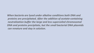 When bacteria are lysed under alkaline conditions both DNA and
proteins are precipitated. After the addition of acetate-containing
neutralization buffer the large and less supercoiled chromosomal
DNA and proteins precipitate, but the small bacterial DNA plasmids
can renature and stay in solution.
 