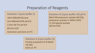 Preparation of Reagents
Solution I (Lysis buffer I)
10ml 500mM Glucose
2ml 500mM EDTA pH 8.0
2.5ml 1M Tris pH 8.0
85.5ml H2O
Autoclave and store at 4°C
Solution II (Lysis buffer II)
Freshly prepared 0.2 N NaOH
1% SDS.
Store at RT
Solution III (Lysis buffer III) pH 6
60ml 5M potassium acetate (49.07g
potassium acetate in 100ml H2O)
11.5ml glacial acetate
28.5ml H2O
 