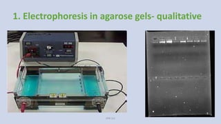 1. Electrophoresis in agarose gels- qualitative
VPB 321
 