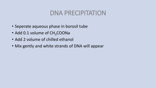 DNA PRECIPITATION
• Seperate aqueous phase in borosil tube
• Add 0.1 volume of CH3COONa
• Add 2 volume of chilled ethanol
• Mix gently and white strands of DNA will appear
 