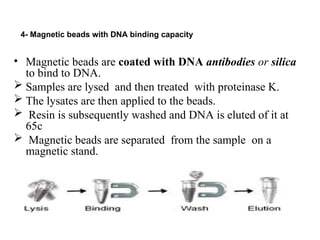 DNA Isolation Methodsand characteristics | PPT