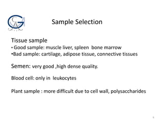 Sample Selection
Tissue sample
• Good sample: muscle liver, spleen bone marrow
•Bad sample: cartilage, adipose tissue, connective tissues
Semen: very good ,high dense quality.
Blood cell: only in leukocytes
Plant sample : more difficult due to cell wall, polysaccharides
6
 