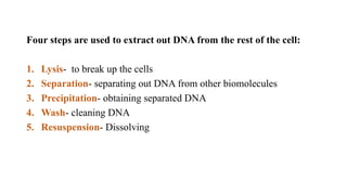 Four steps are used to extract out DNA from the rest of the cell:
1. Lysis- to break up the cells
2. Separation- separating out DNA from other biomolecules
3. Precipitation- obtaining separated DNA
4. Wash- cleaning DNA
5. Resuspension- Dissolving
 