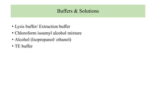 Buffers & Solutions
• Lysis buffer/ Extraction buffer
• Chloroform isoamyl alcohol mixture
• Alcohol (Isopropanol/ ethanol)
• TE buffer
 