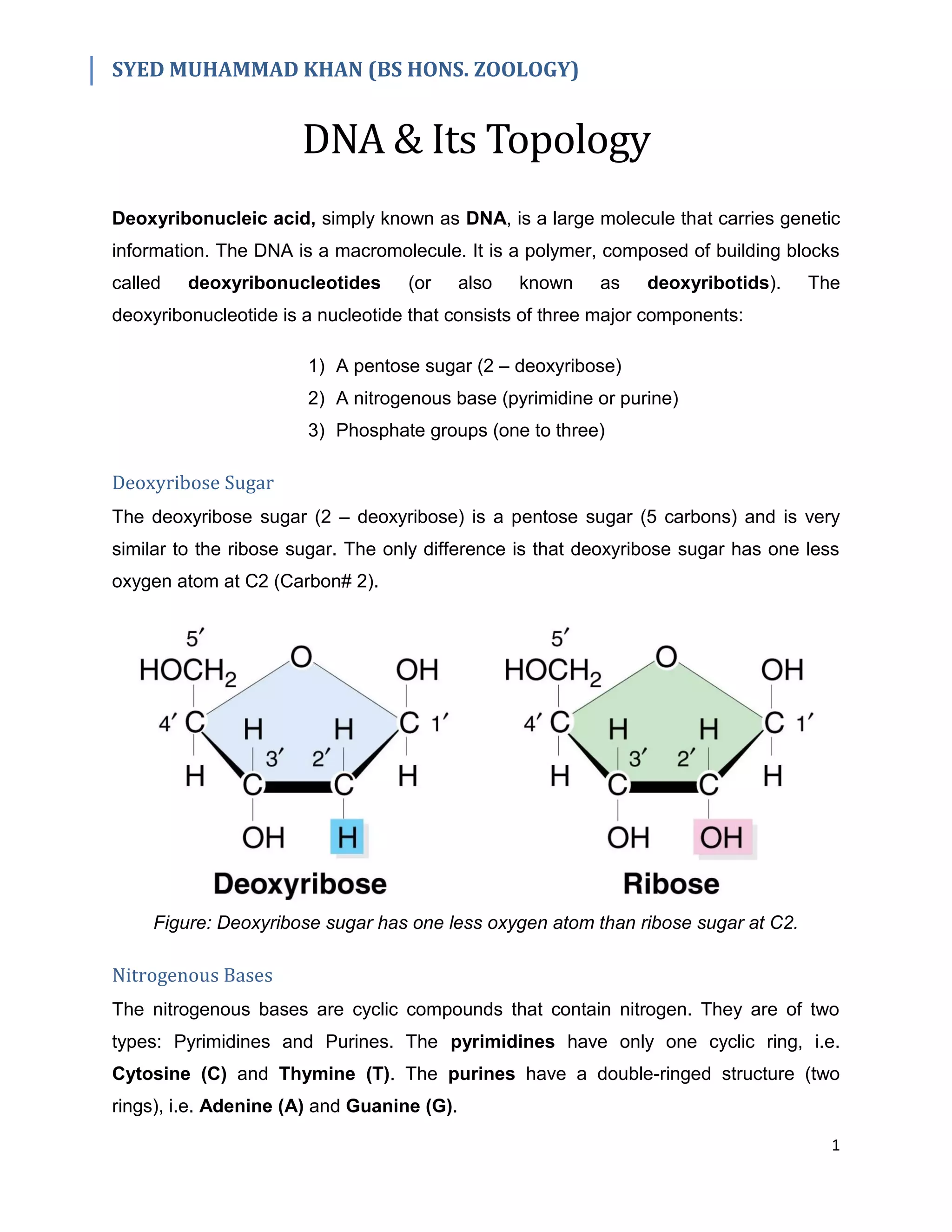 DNA & Its Topology | PDF