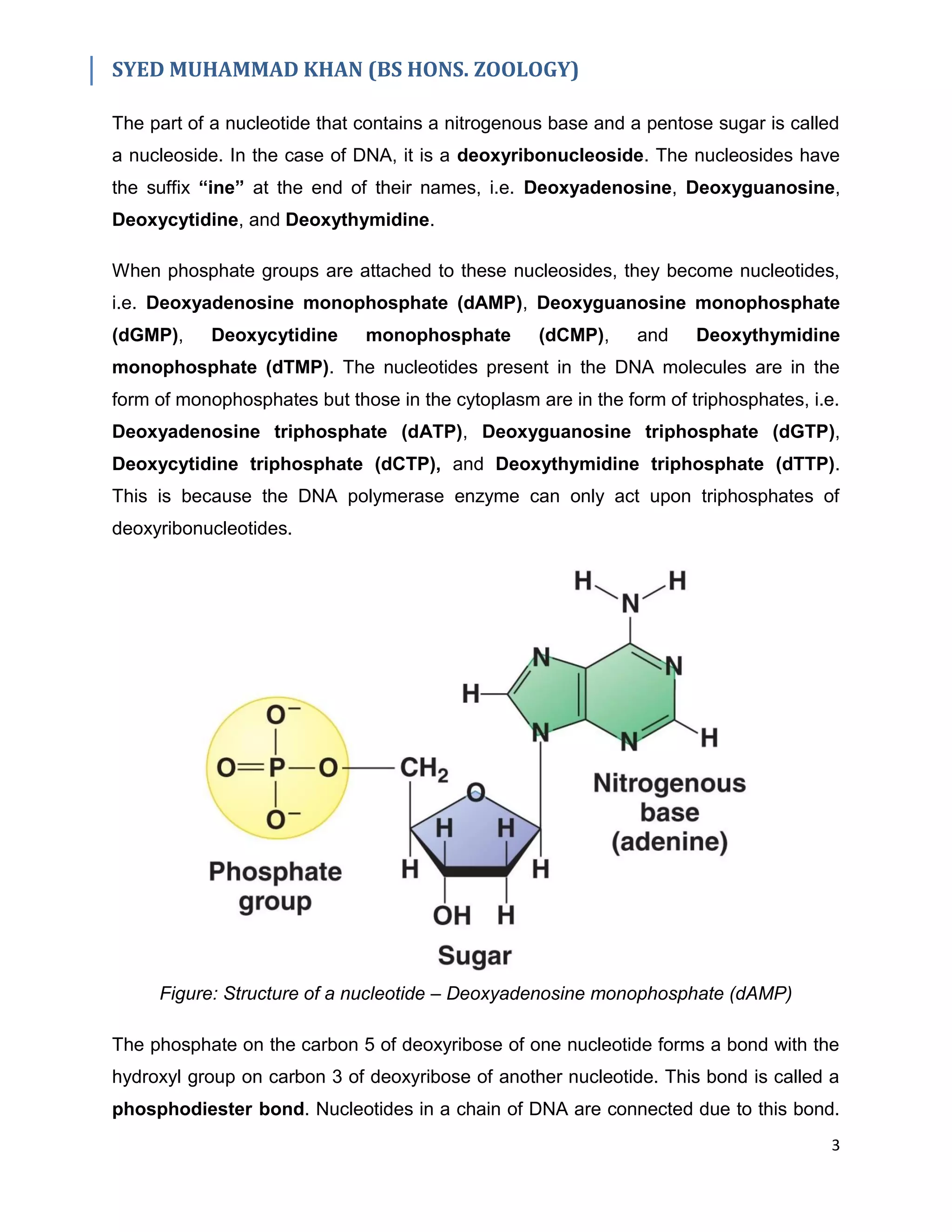 DNA & Its Topology | PDF