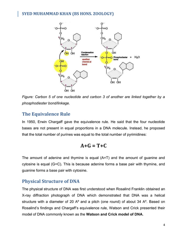 DNA & Its Topology | PDF | Chemistry | Science