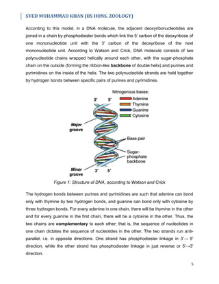 DNA & Its Topology | PDF