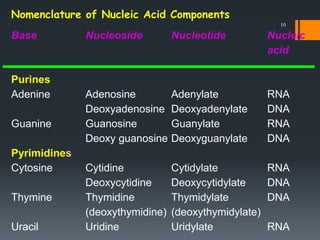 Nomenclature of Nucleic Acid Components
Base Nucleoside Nucleotide Nucleic
acid
Purines
Adenine Adenosine Adenylate RNA
De...