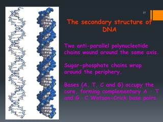 The secondary structure of
DNA
Two anti-parallel polynucleotide
chains wound around the same axis.
Sugar-phosphate chains ...