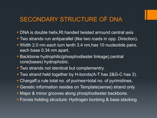 SECONDARY STRUCTURE OF DNA
 DNA is double helix,Rt.handed twisted arround central axis
 Two strands run antiparallel (li...