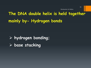  hydrogen bonding;
 base stacking
The DNA double helix is held together
mainly by- Hydrogen bonds
Biochemistry for Medic...