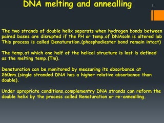DNA melting and annealling
The two strands of double helix separats when hydrogen bonds between
paired bases are disrupted...