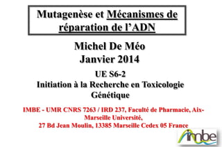 Mutagenèse et Mécanismes de
réparation de l’ADN
Michel De Méo
Janvier 2014
UE S6-2
Initiation à la Recherche en Toxicologie
Génétique
IMBE - UMR CNRS 7263 / IRD 237, Faculté de Pharmacie, AixMarseille Université,
27 Bd Jean Moulin, 13385 Marseille Cedex 05 France

 