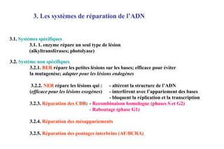 3. Les systèmes de réparation de l’ADN

3.1. Systèmes spécifiques
3.1. 1. enzyme répare un seul type de lésion
(alkyltransférases; photolyase)
3.2. Système non spécifiques
3.2.1. BER répare les petites lésions sur les bases; efficace pour éviter
la mutagenèse; adapter pour les lésions endogènes
- altèrent la structure de l’ADN
- interférent avec l’appariement des bases
- bloquent la réplication et la transcription
3.2.3. Réparation des CDB: - Recombinaison homologue (phases S et G2)
- Raboutage (phase G1)
3.2.2. NER répare les lésions qui :
(efficace pour les lésions exogènes)

3.2.4. Réparation des mésappariements
3.2.5. Réparation des pontages interbrins (AF/BCRA)

 