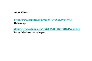 Animations
http://www.youtube.com/watch?v=xS6bJMcOrAk
Raboutage
http://www.youtube.com/watch?NR=1&v=jRGPxuo0H30
Recombinaison homologue

 