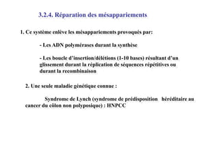 3.2.4. Réparation des mésappariements
1. Ce système enlève les mésappariements provoqués par:
- Les ADN polymérases durant la synthèse
- Les boucle d’insertion/délétions (1-10 bases) résultant d’un
glissement durant la réplication de séquences répétitives ou
durant la recombinaison

2. Une seule maladie génétique connue :
Syndrome de Lynch (syndrome de prédisposition héréditaire au
cancer du côlon non polyposique) : HNPCC

 