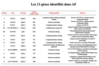 Les 13 gènes identifiés dans AF
Subtype

Gene

Location

Protein
(amino acids)

Cloning method

Features

A

FANCA

16q24.3

1455

Complementation cloning, positional
cloning

B

FANCB

Xp22.2

859

Protein association

C

FANCC

9q22.3

558

Complementation cloning

D1

FANCD1/BRCA2

13q12.3

3418

Candidate-gene approach

D2

FANCD2

3p26

1451

Positional cloning

Partner of FANCG, contains nuclear
localization signal
Partner of FANCL, contains nuclear
localization signal
Partner of FANCE
Supports RAD51 filament formation, contains
BRC repeats and OB-fold
Monoubiquitinated and phosphorylated
following DNA damage

E

FANCE

6p21.3

536

Complementation cloning

F

FANCF

11p15

374

Complementation cloning

G

FANCG

9p13

622

Complementation cloning

Adaptor protein stabilizing A/G and E/C
interaction
Partner of FANCA, contains TPR motifs

I

FANCI

15q26.1

1328

Positional cloning; candidate-gene
approach

Partner of FANCD2, monoubiquitinated and
phosphorylated following DNA damage

J

FANCJ/BRIP1

17q22-24

1249

Positional cloning

L

FANCL

2p16.1

375

Protein association

M

FANCM

14q21.3

2048

Protein association

Translocase, contains DEAH helicase and
ERCC4/XPF like nuclease domain

N

FANCN/PALB2

16p12.1

1186

Protein association

Partner of BRCA2, essential for stability and
localization of BRCA2

Partner of FANCC and FANCD2, Chk1 target,
contains nuclear localization signal

5′-to-3′ DEAH helicase, unwinds G-quadruplex
DNA structures
E3 ubiquitin ligase, contains RING-finger and
WD40 domains

 