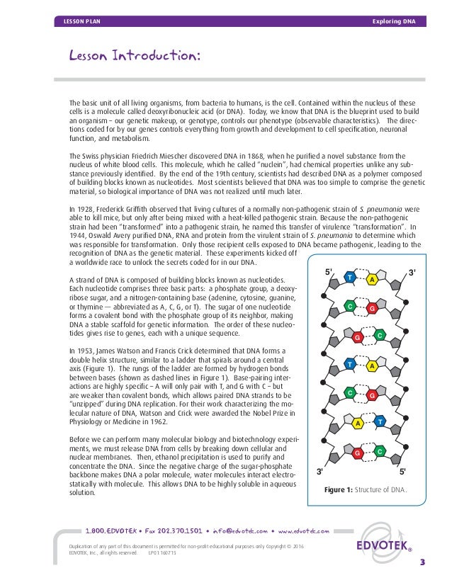 Exploring DNA Lesson Plan