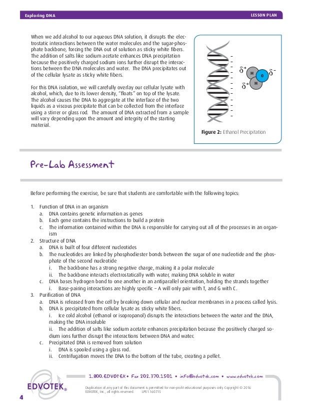 Exploring DNA Lesson Plan