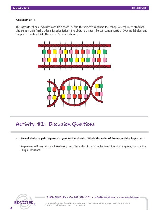 Exploring DNA Lesson Plan