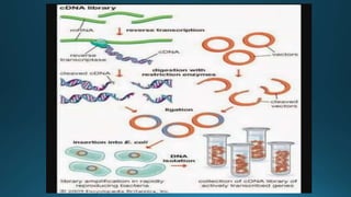 Dna libraries | PPTX