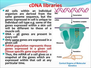 Dna Library Types Dna libraries | PPT