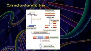Construction of genomic library
 